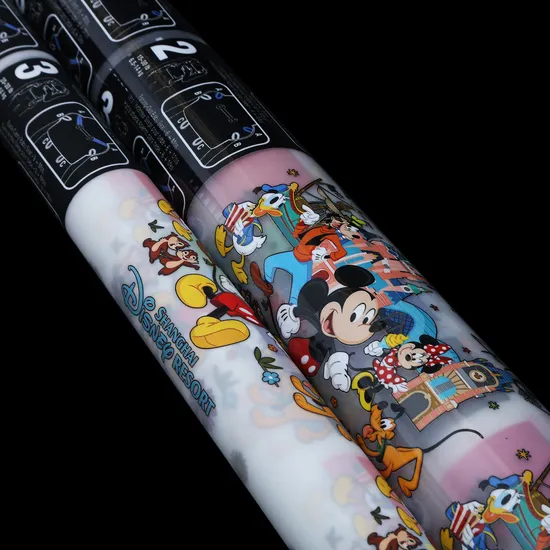 Double Side Matte Dtf Film Hot Peel Heat Transfer Film Pet Film Dtf 60cm 120cm Prints for T Shirts Clothing, Bags 