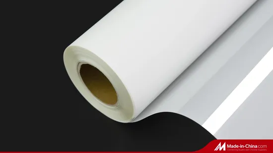 Hot/Cold Peel Double/Single Side Printing 75 Micron Dtf Pet Film Roll for Heat Transfer Printer 75 Micron 30/60cm*100m 