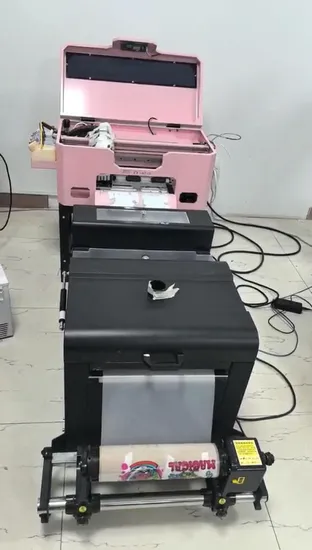 Small Desktop A3 Inkjet T Shirt Printing Machine XP600 30cm Heat Transfer Roll Pet Film Tshirt A3 Dtf Printer 