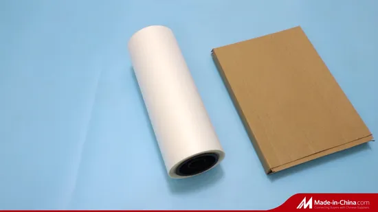 33cm 24 Inch Digital Printing Dtf Printing Film Double Side for Dtf Prints 