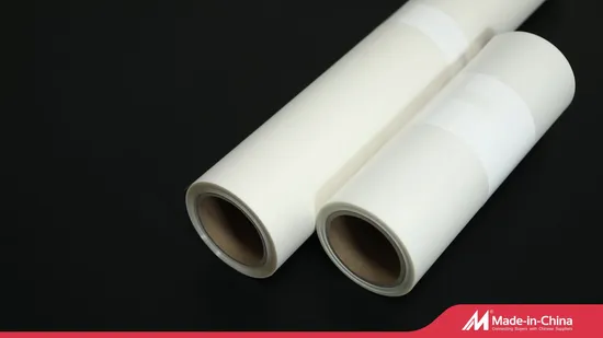 High Quality Tracnslucent A3 A4 Cold Peel Dtf Pet Film for Clothes Heat Transfer Printing 