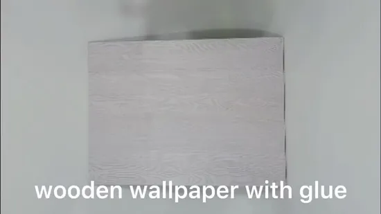 Octki Easy to Paste No Residual Glue Stained Glass Printing Adhesive Sticker Home Decor Transparent PVC Window Film 